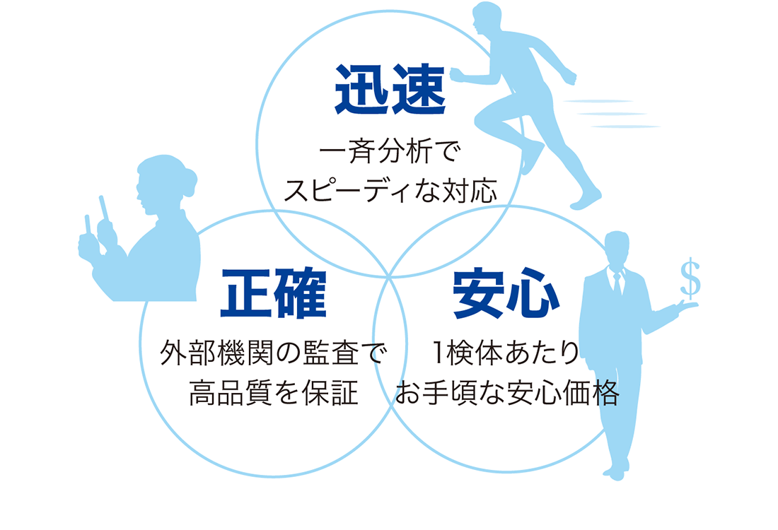 迅速、性格、安心の図版