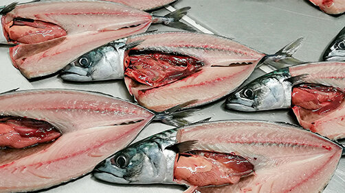 捌いた魚の写真1