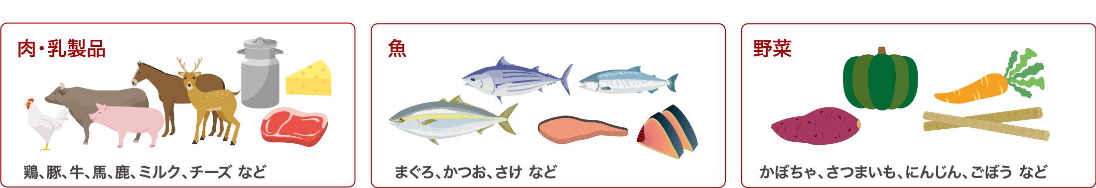 肉・乳製品、魚、野菜のカテゴリーのイラスト