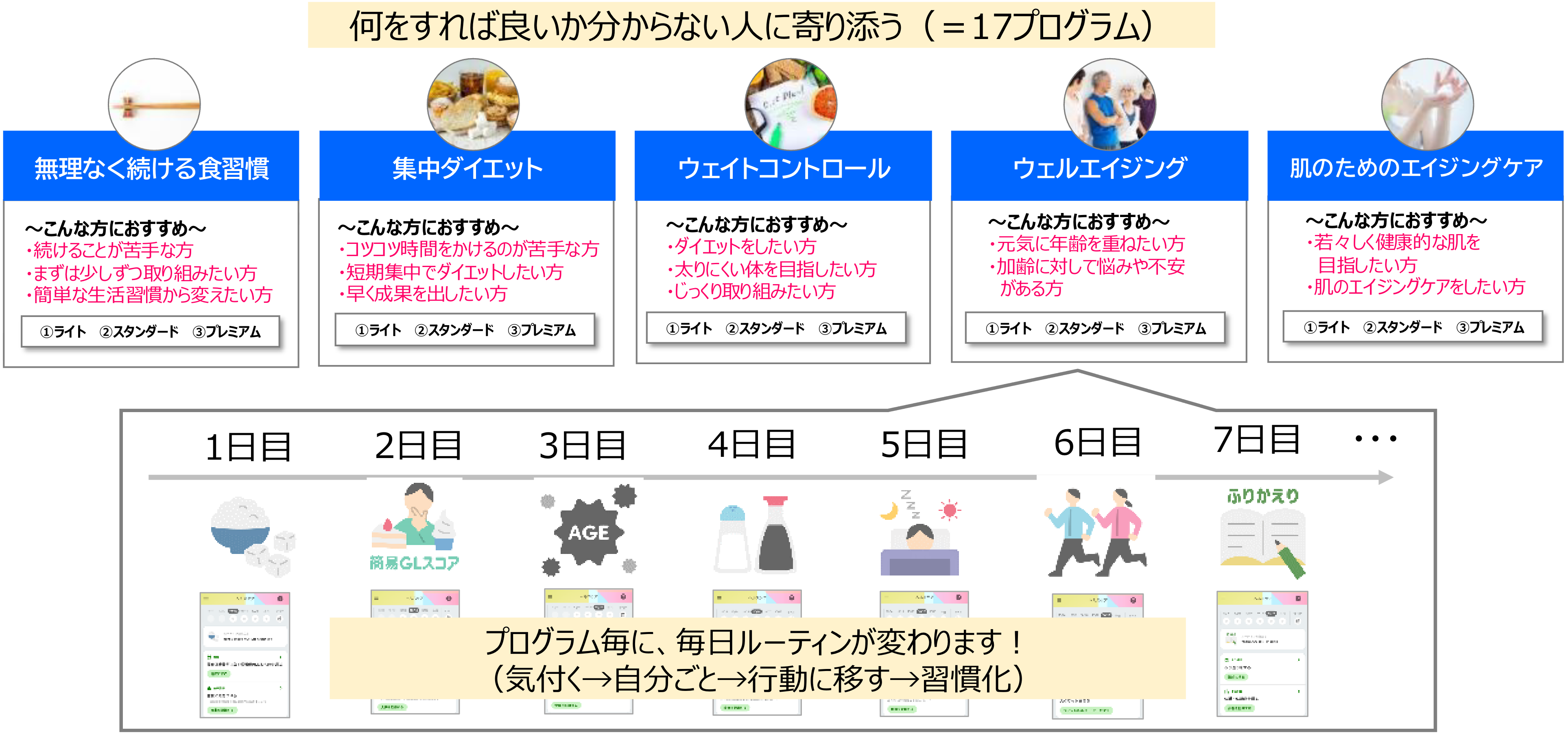 独自プログラムの図版