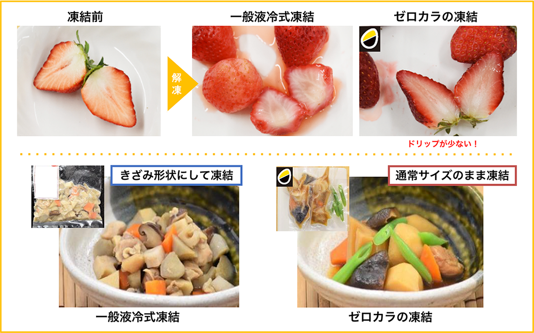 他の凍結機とゼロカラ凍結のちがいの写真1