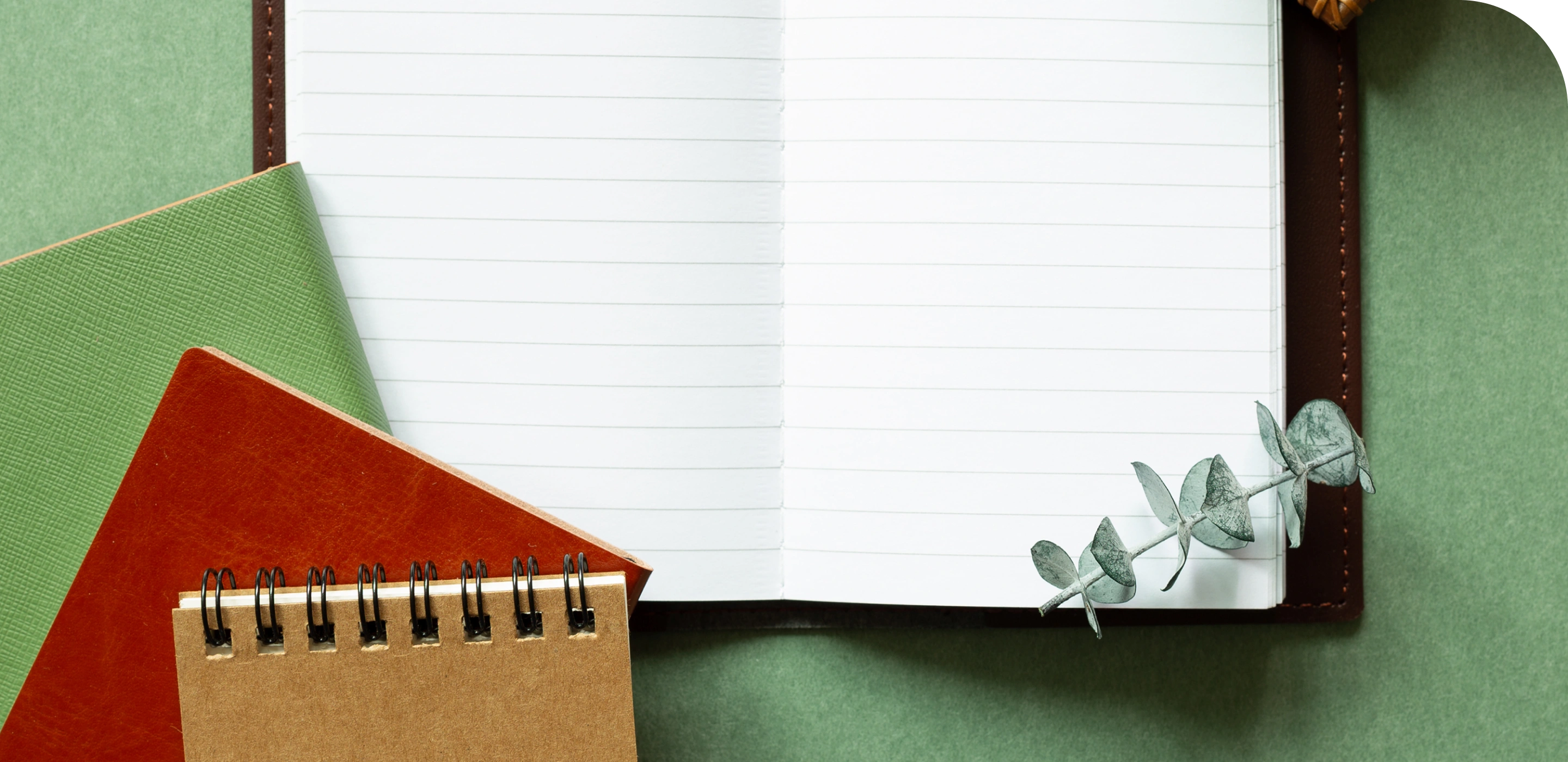 国分ノオトのイメージ画像