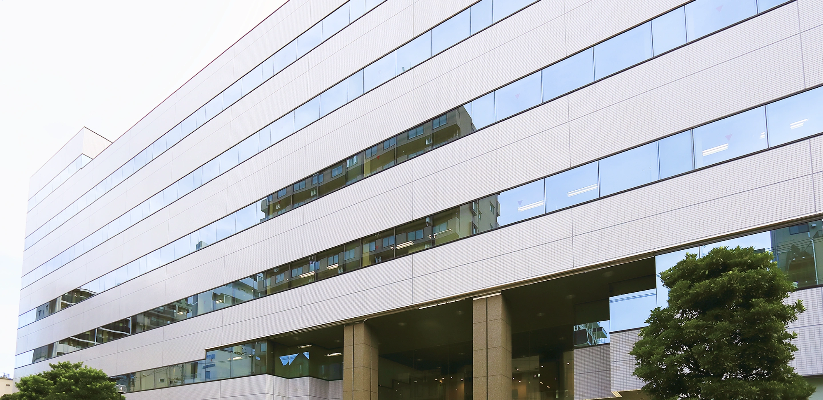 国分ビジネスエキスパート株式会社の画像