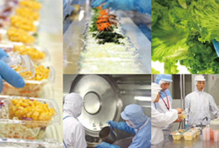 生産力のイメージ画像