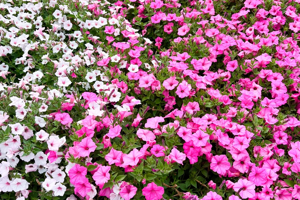 「実際に働くなかで感じる土地の魅力や特徴」のイメージ画像