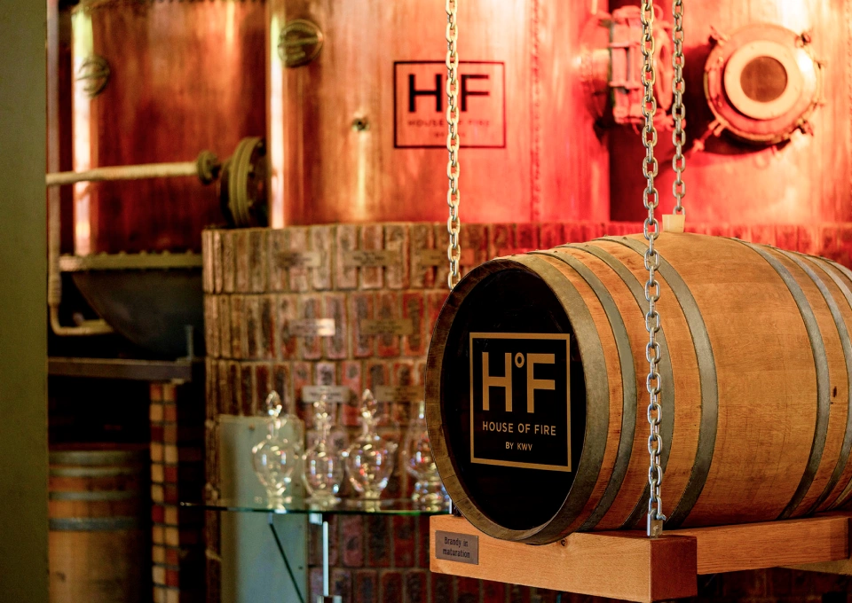 ケイ・ダブリュー・ヴィのイメージ写真