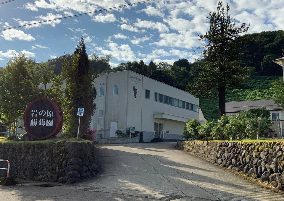 岩の原葡萄園のイメージ写真