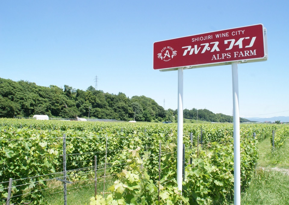 アルプスのイメージ写真