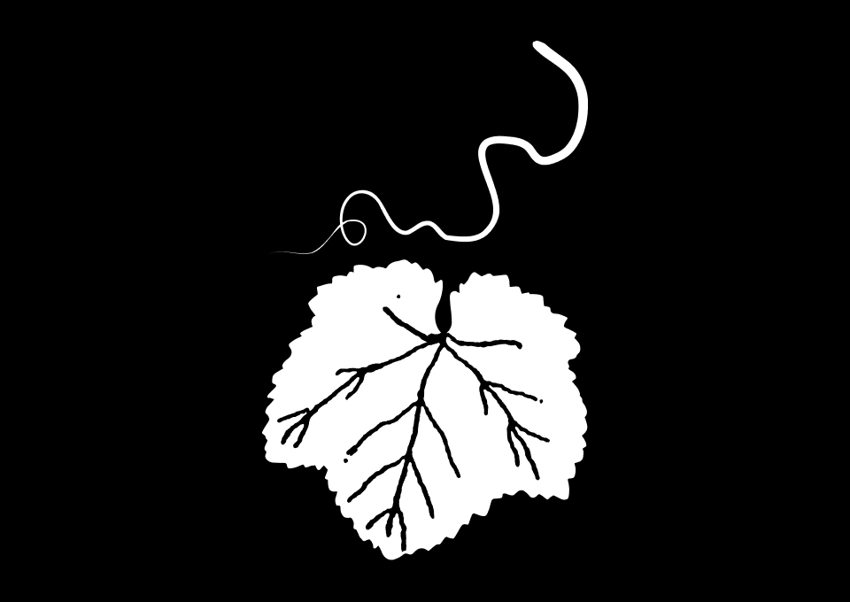 まるき葡萄酒のイメージ写真