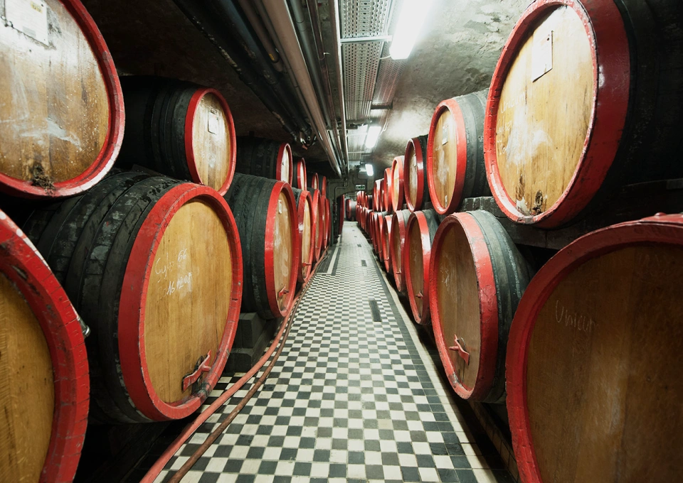 ウニクムのイメージ写真