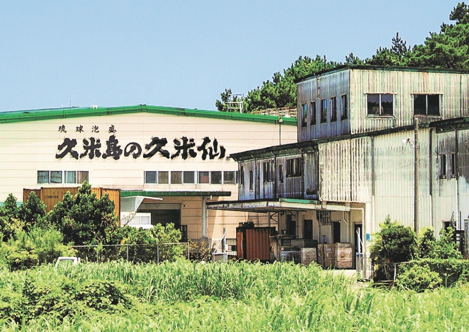 がじゅまる（久米島の久米仙）のイメージ写真