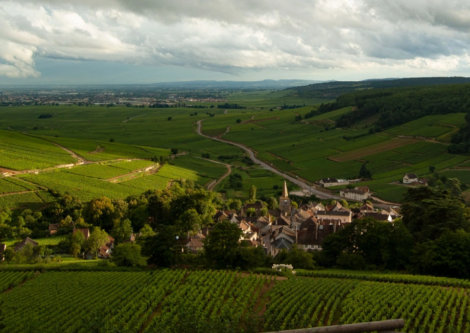 ピエール・ポネルのイメージ写真