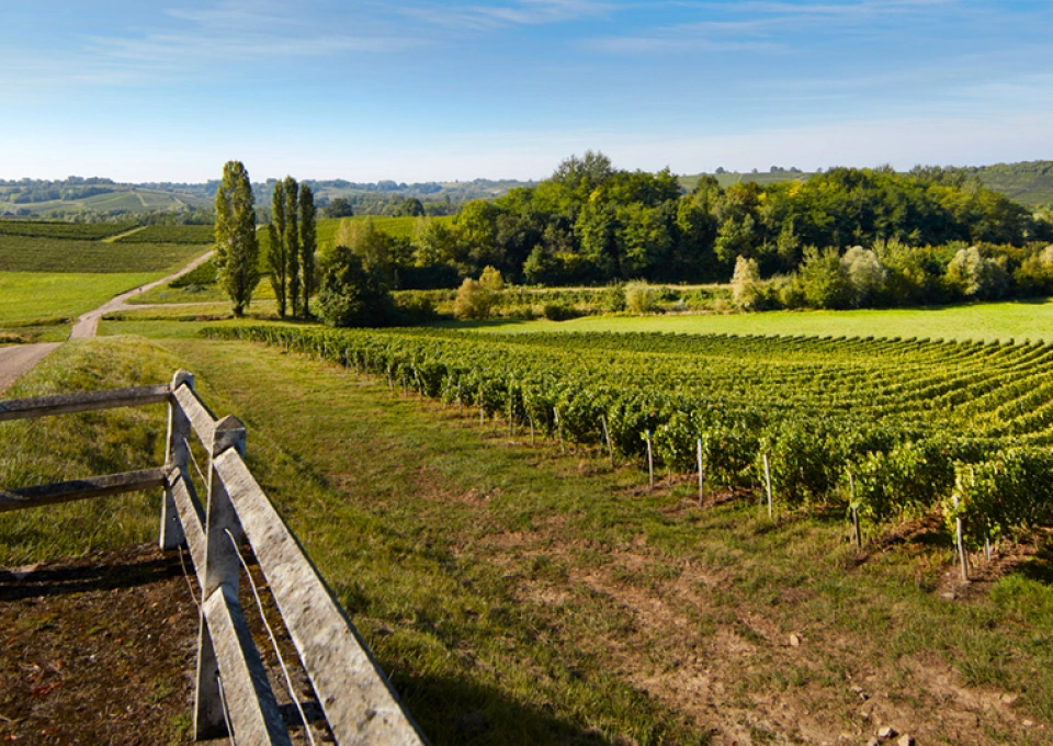 ドメーヌ・アンリ・メールのイメージ写真