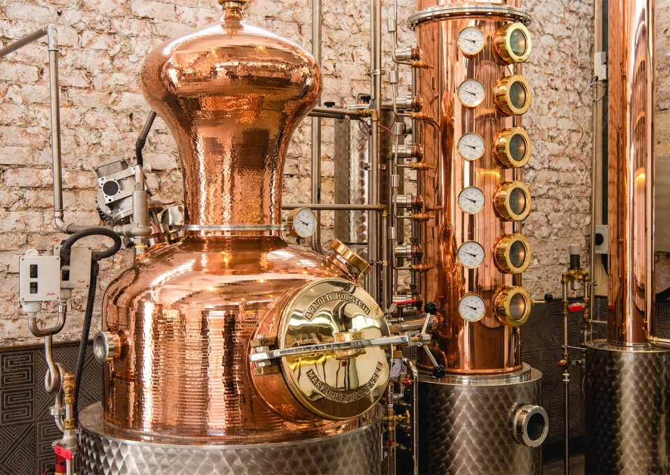 ブラスライオンのイメージ写真