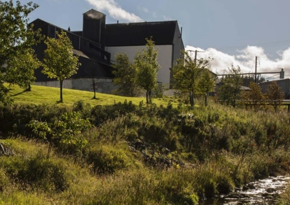 トマーティンのイメージ写真