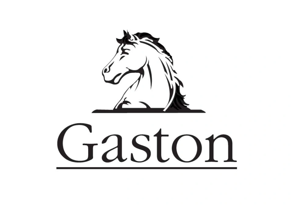 ガストン・シャルパンティエのイメージ写真