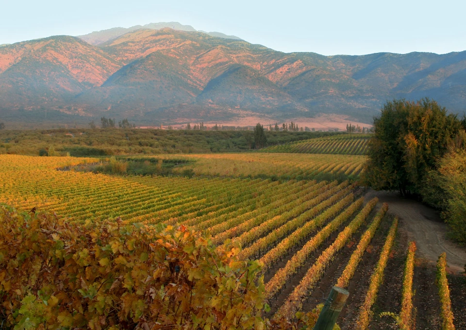 ヴィーニャ・カサ・シルヴァのイメージ写真