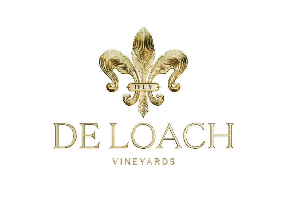 デ・ローチのイメージ写真