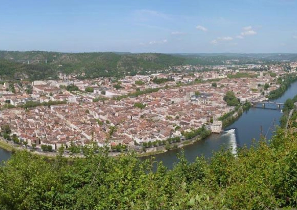 クロッカスのイメージ写真