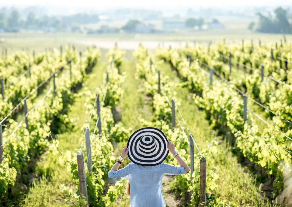 キュヴェ・ミティークのイメージ写真