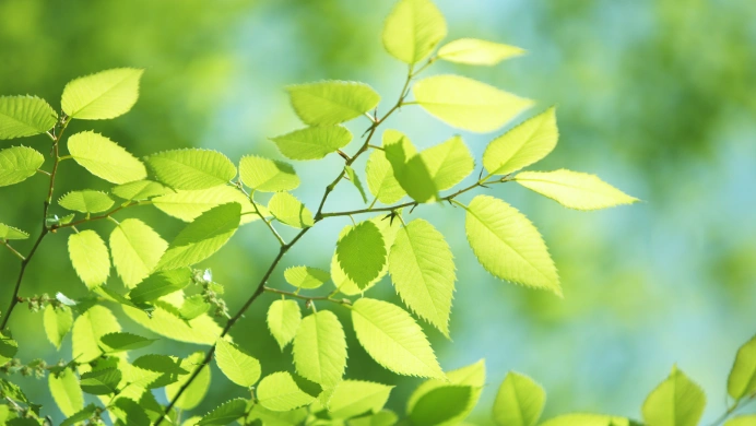 環境方針・環境管理体制のイメージ画像