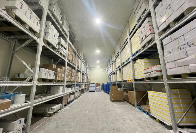 次世代フルラインセンターのイメージ画像