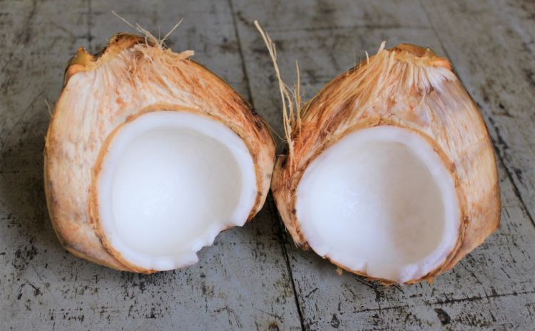 ココナッツ由来100