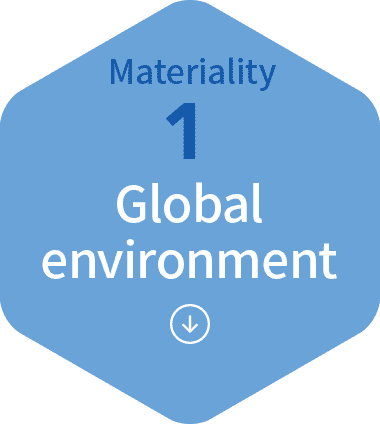 Global environment