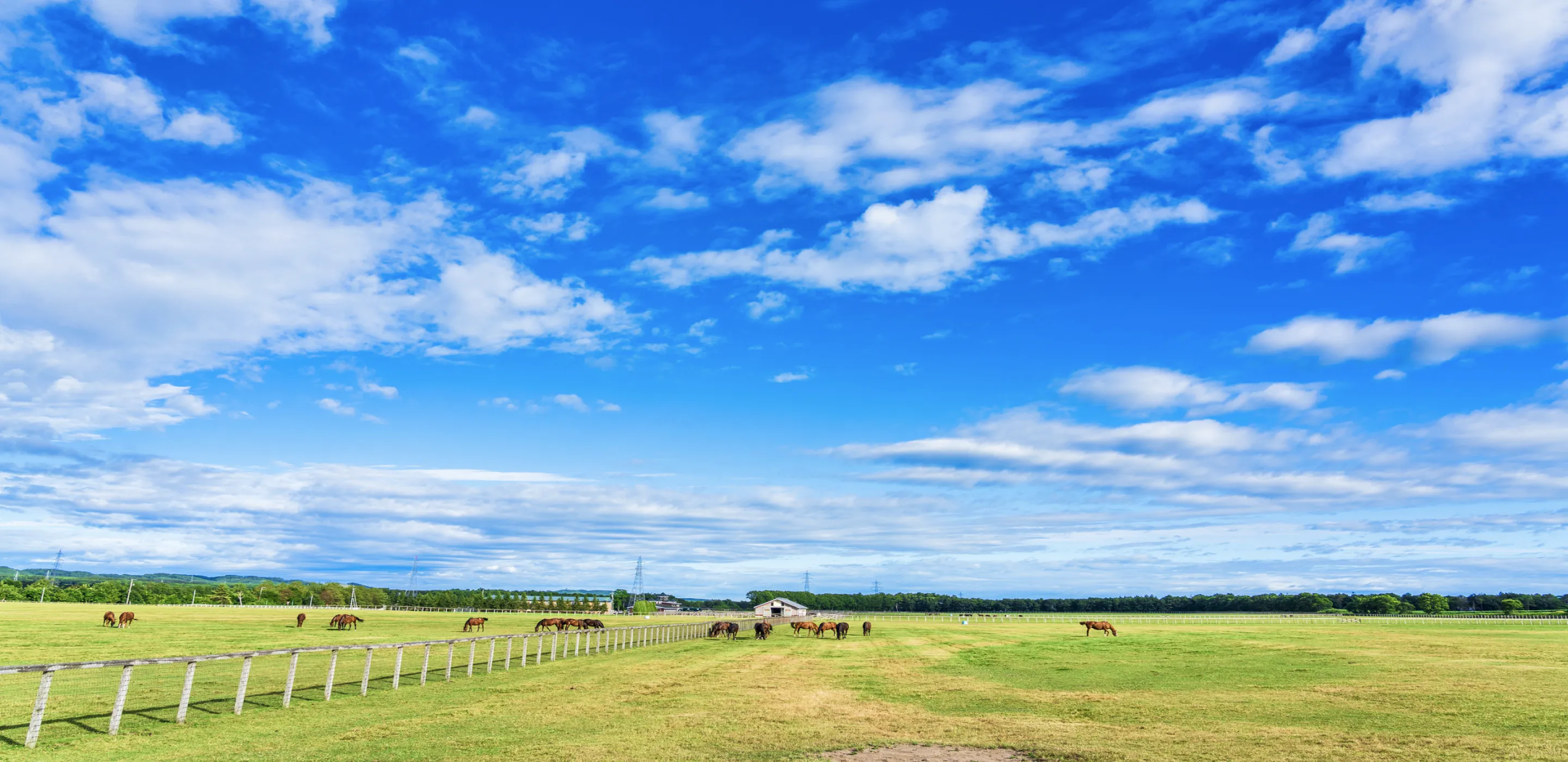国分北海道株式会社のイメージ画像