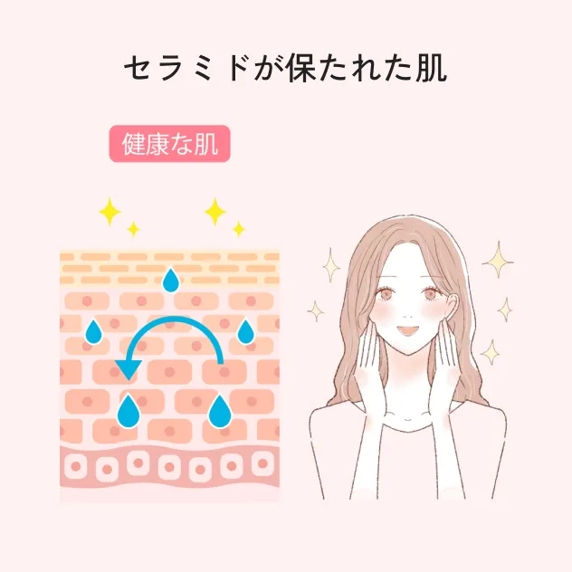 図 セラミドが保たれた肌