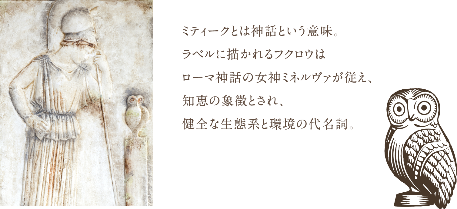 ミティークとは神話という意味。ラベルに描かれるフクロウはローマ神話の女神ミネルヴァが従え、知恵の象徴とされ、健全な生態系と環境の代名詞。