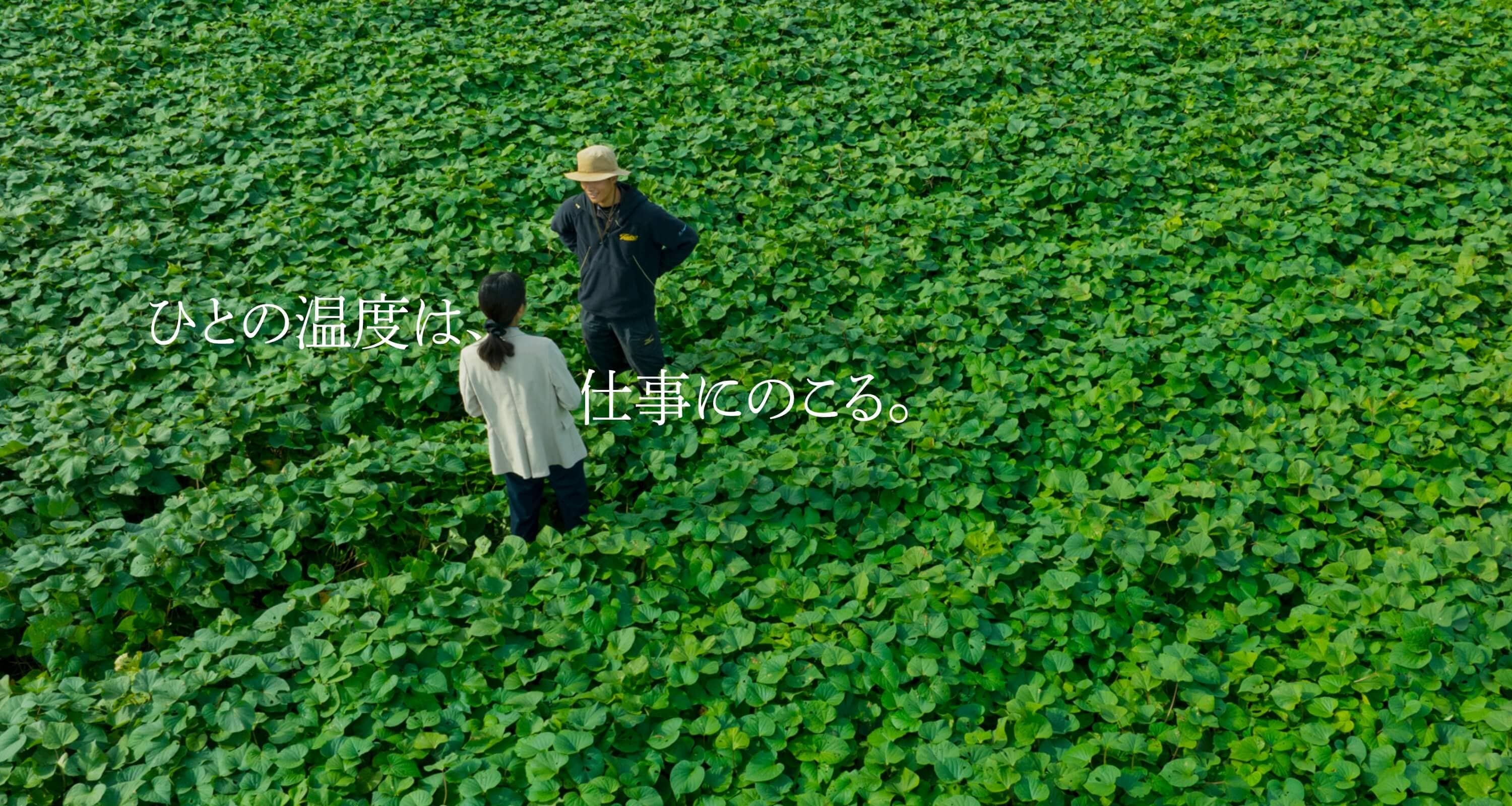 ひとの温度は、仕事にのこる。