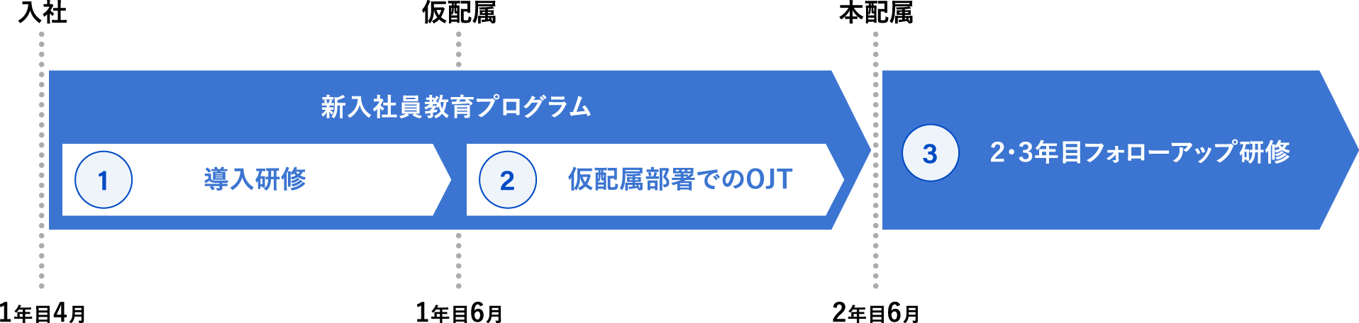 ①導入研修②仮配属部署でのOJT③2・3年目フォローアップ研修