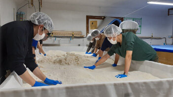 製造工程を学ぶ体験型の研修している社員の写真