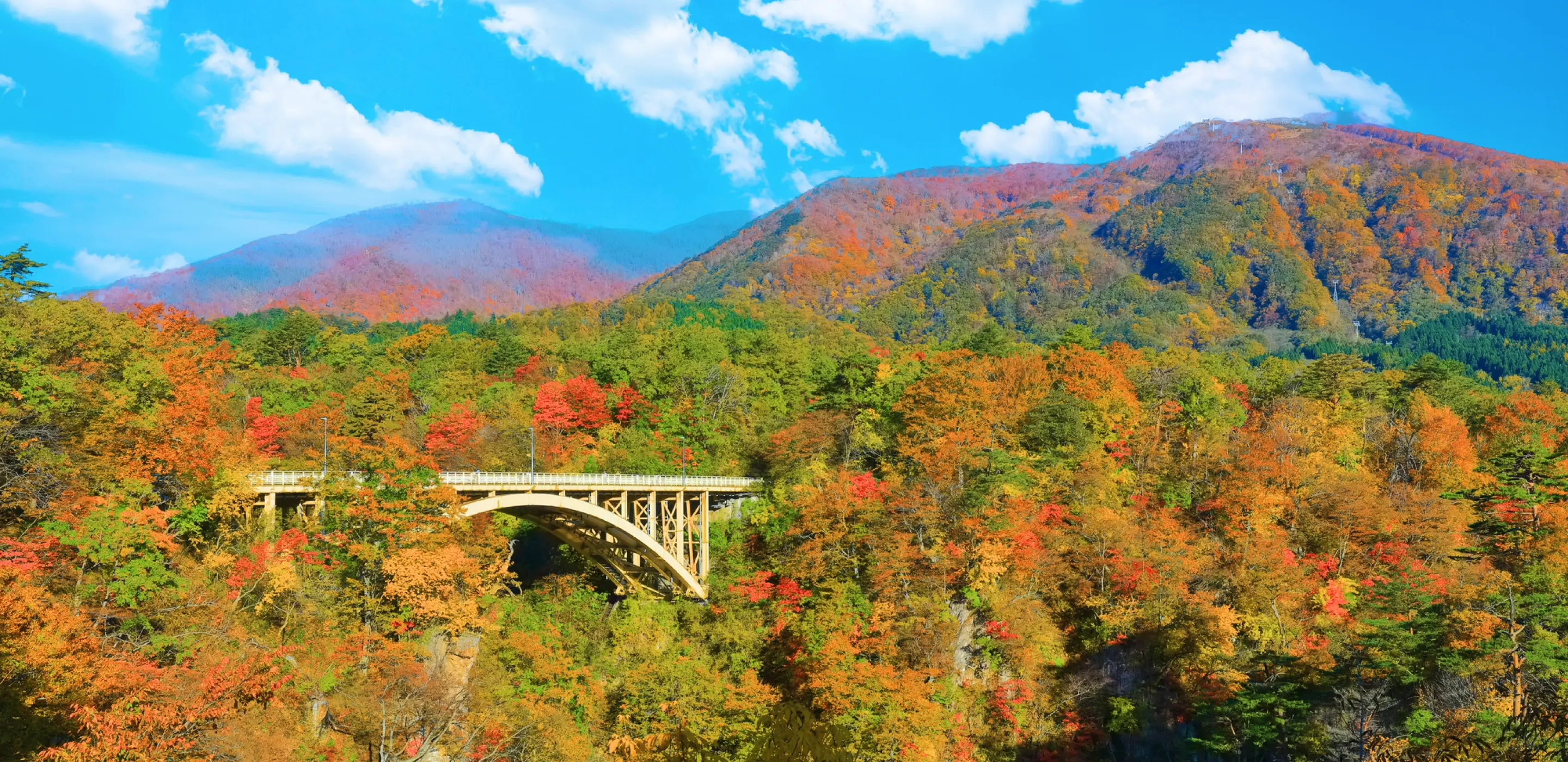 国分東北株式会社のイメージ画像