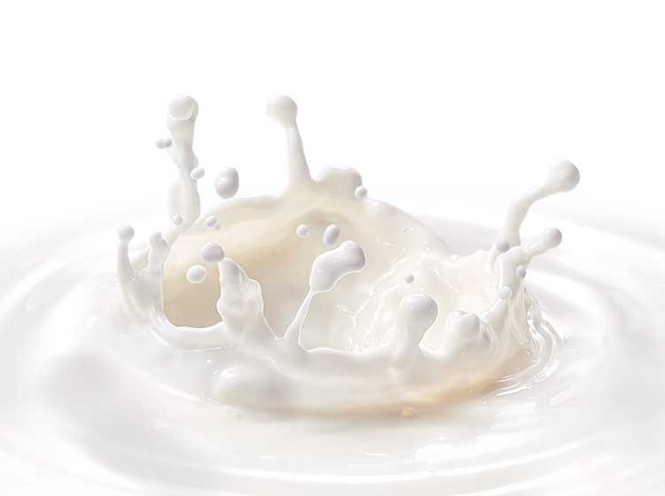 共に創る豊かな未来 ヤシマの牛乳イメージ画像（スマホ）